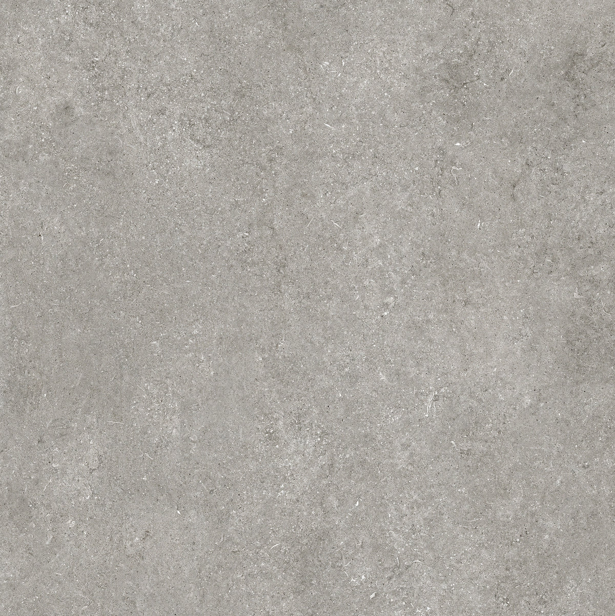 Florim Sensi Grey Fossil Dust - fein sandige Textur